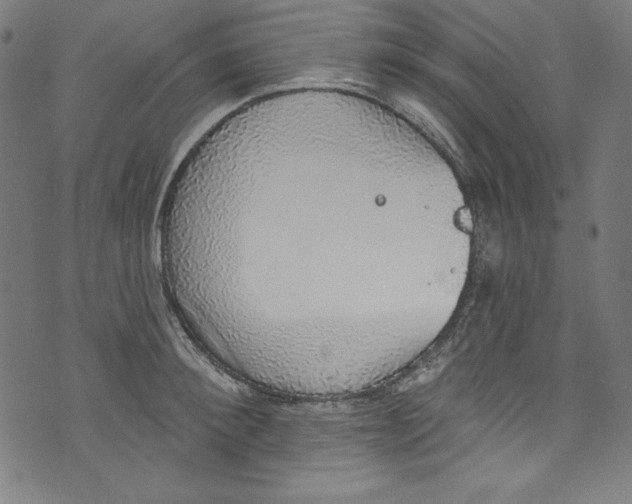 X0000072970900200608211319