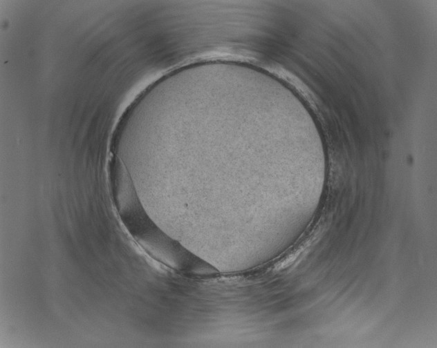 X0000072970902200608211319