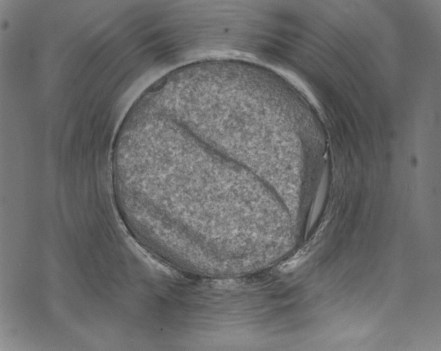 X0000072970903200608211319