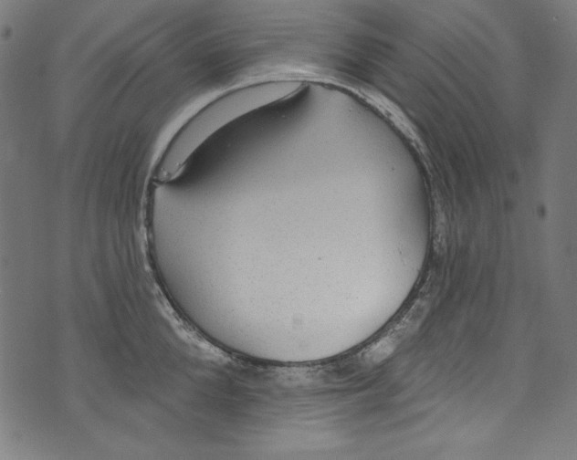 X0000072970904200608211319