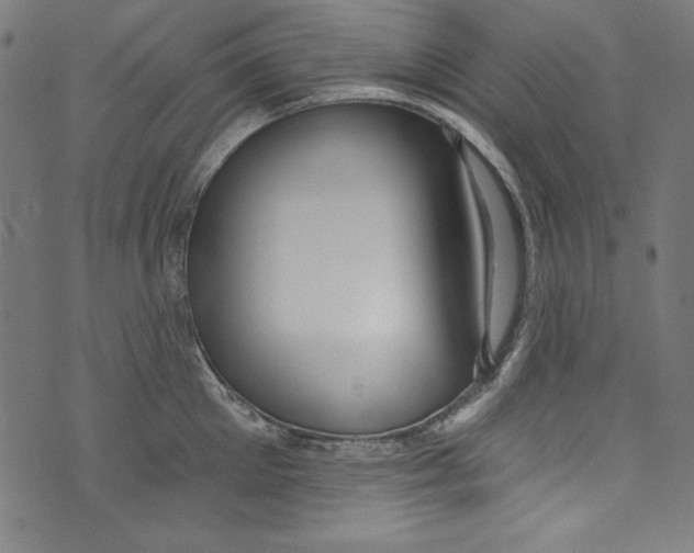 X0000072970905200608211319