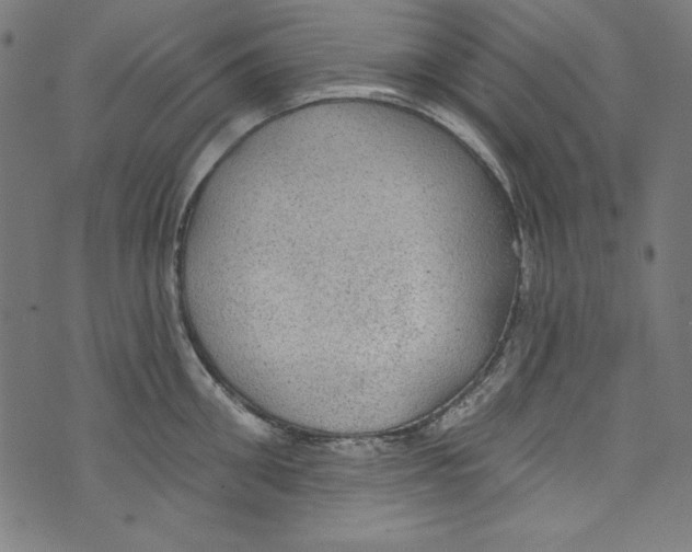 X0000072970906200608211319