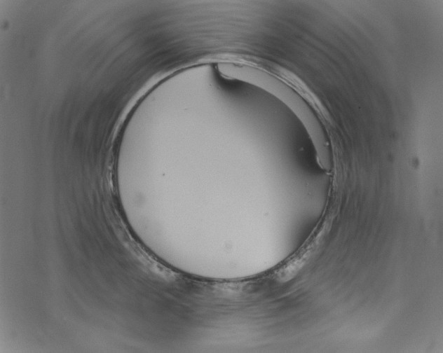 X0000072970908200608211319