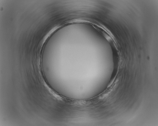 X0000072970909200608211319