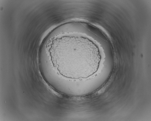 X0000072970910200608211319