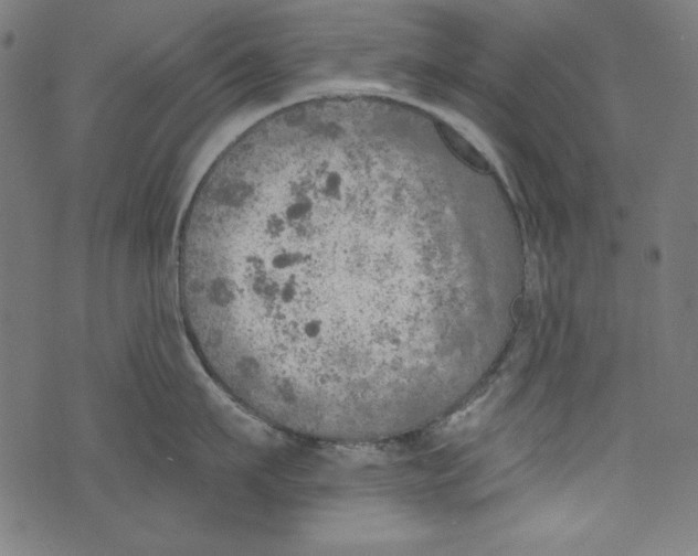 X0000072970911200608211319