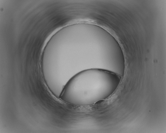 X0000072970912200608211319