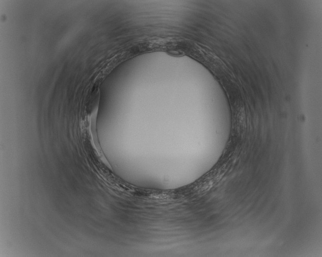 X0000072970914200608211318