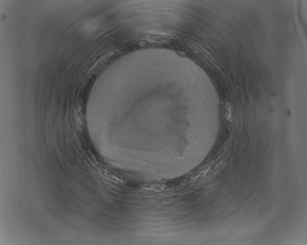 X0000072970915200608211318