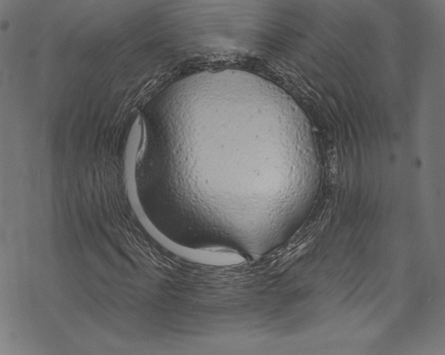 X0000072970916200608211318