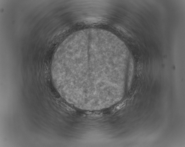 X0000072970917200608211318