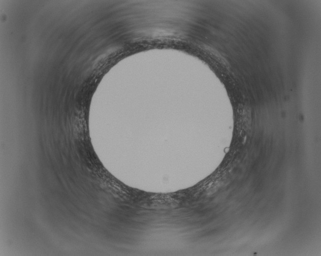 X0000072970918200608211318