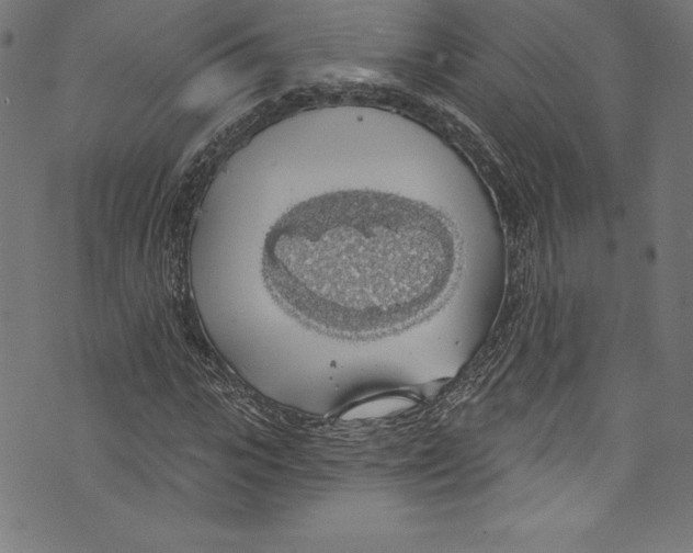 X0000072970919200608211318