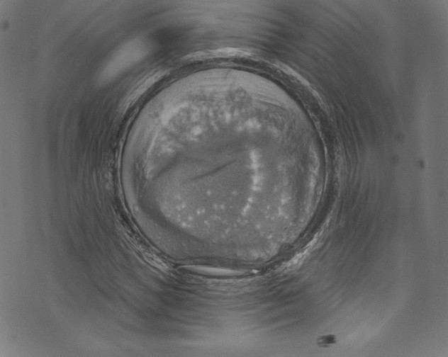 X0000072970921200608211318