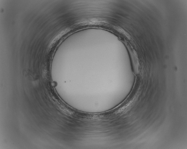 X0000072970922200608211318