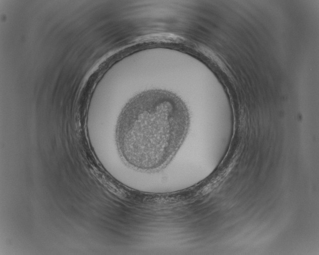 X0000072970923200608211318