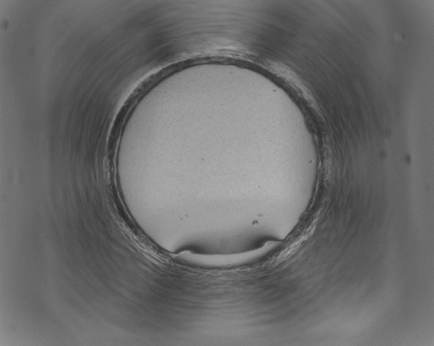 X0000072970924200608211318