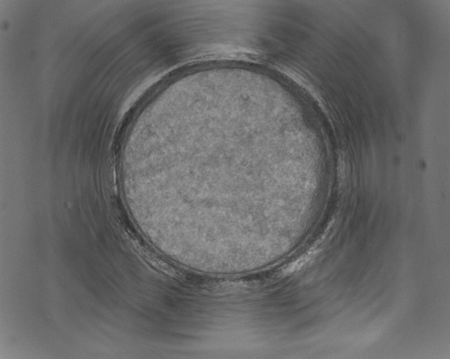 X0000072970925200608211318