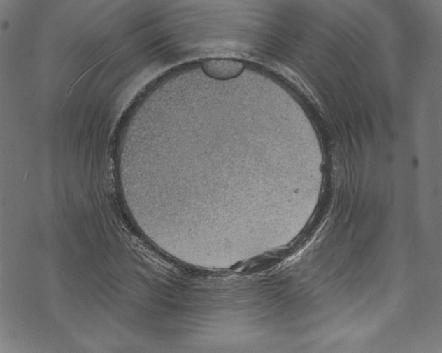 X0000072970926200608211318