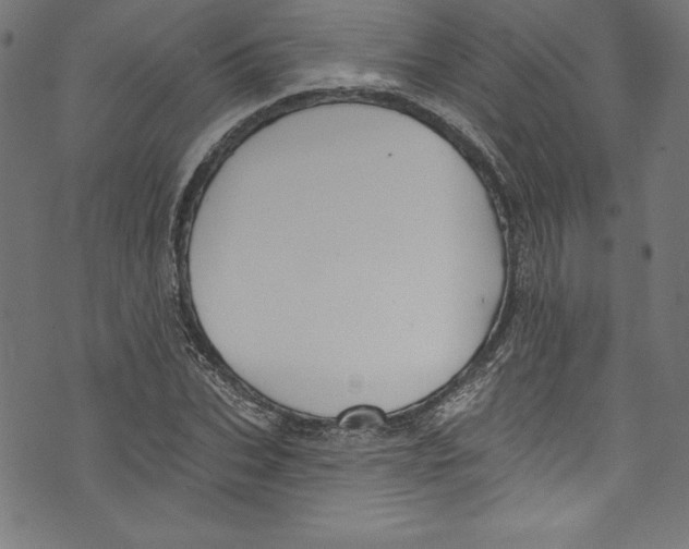 X0000072970927200608211318