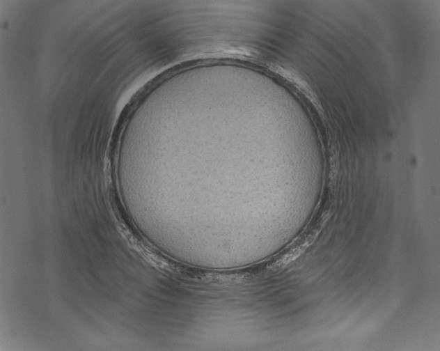 X0000072970928200608211318