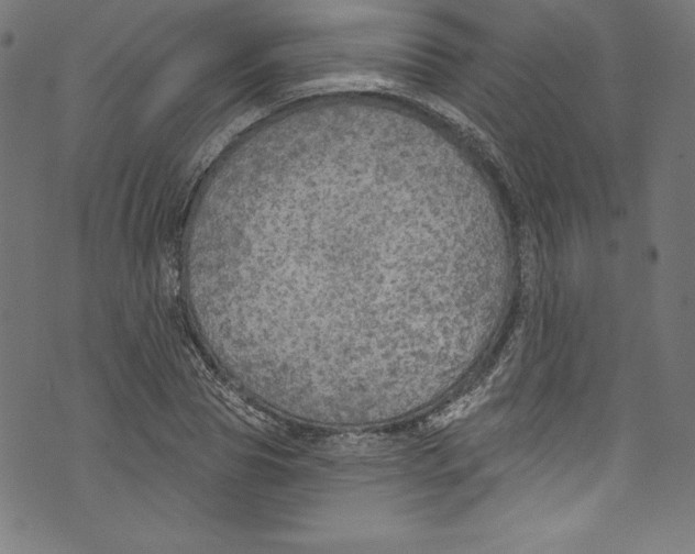 X0000072970929200608211318