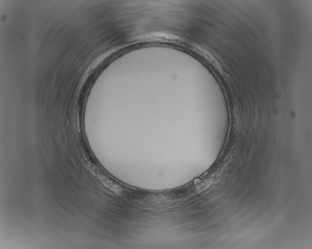 X0000072970931200608211318