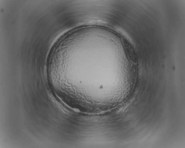 X0000072970932200608211318