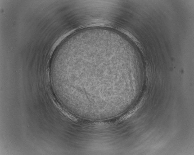 X0000072970933200608211318