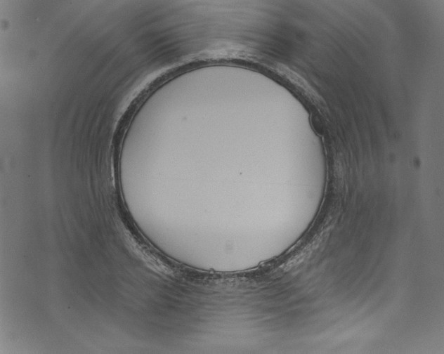 X0000072970934200608211318