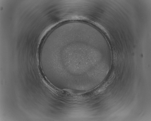 X0000072970935200608211318