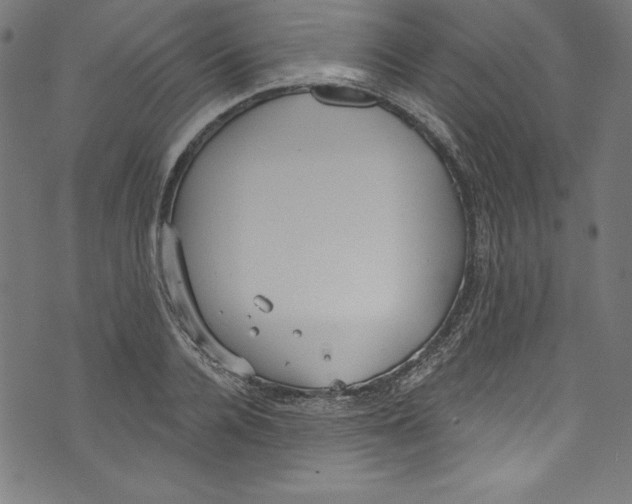 X0000072970936200608211318