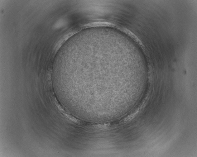 X0000072970937200608211318