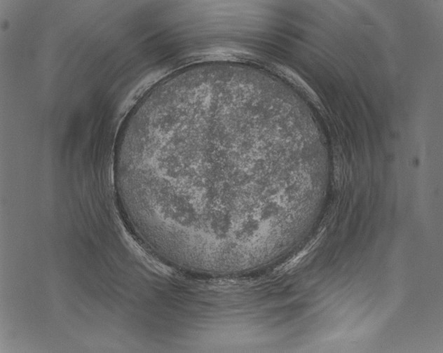 X0000072970938200608211318