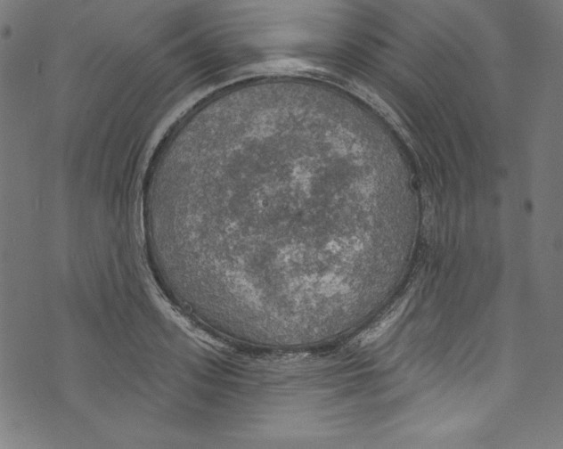 X0000072970939200608211318