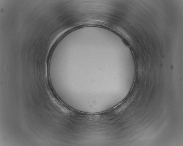 X0000072970940200608211318