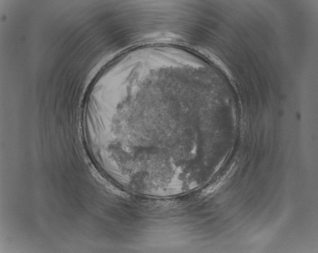 X0000072970941200608211318