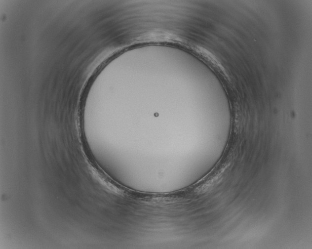 X0000072970942200608211318