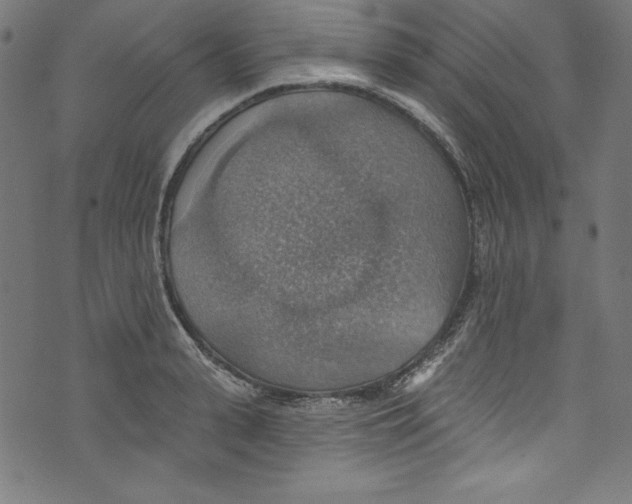 X0000072970943200608211318