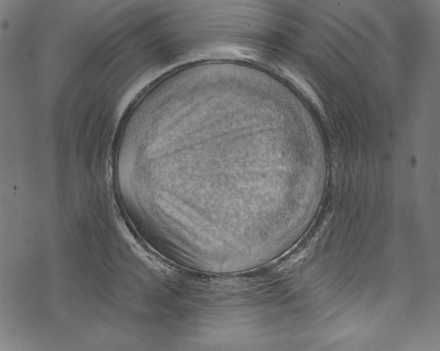 X0000072970944200608211318