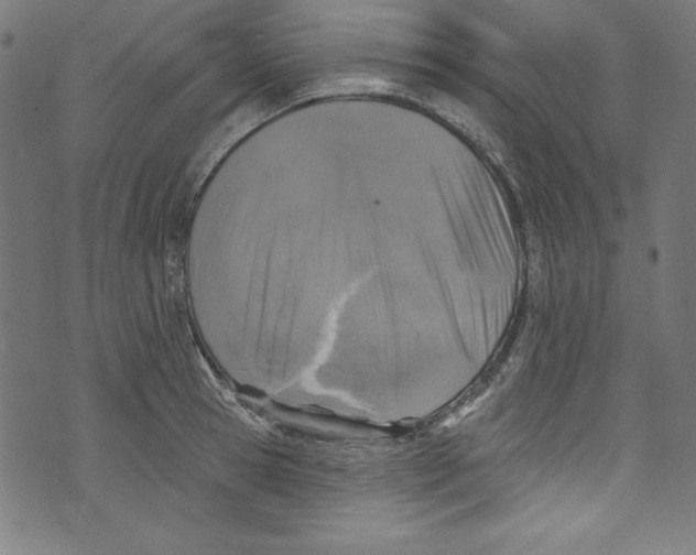 X0000072970945200608211318