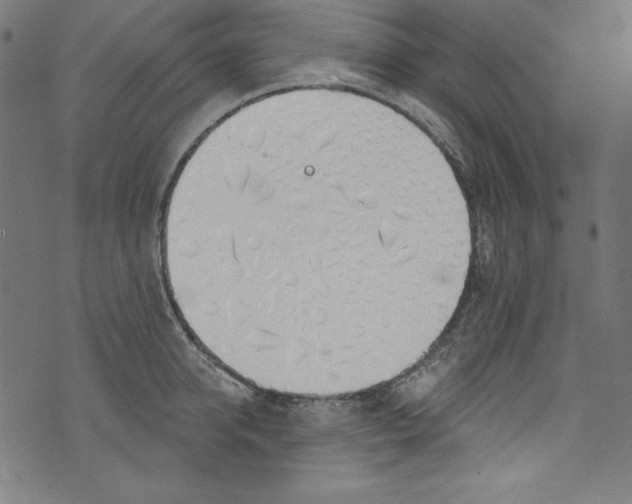 X0000072970950200608211318