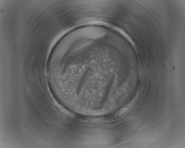 X0000072970951200608211318