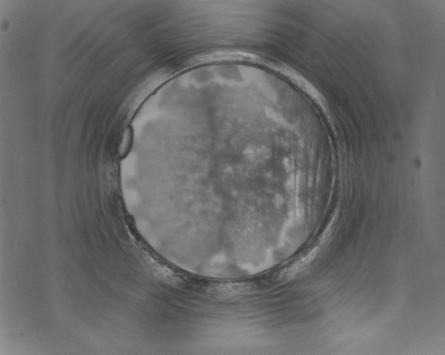 X0000072970953200608211318