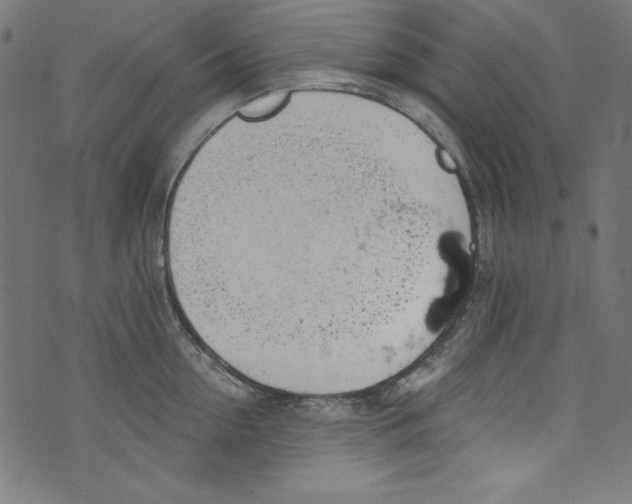 X0000072970954200608211318