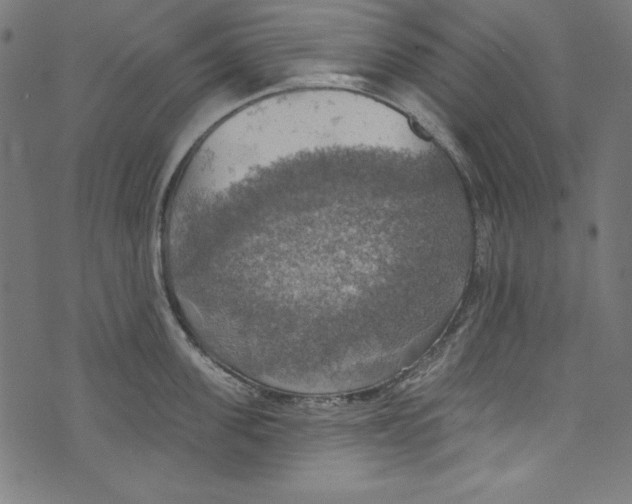 X0000072970955200608211318