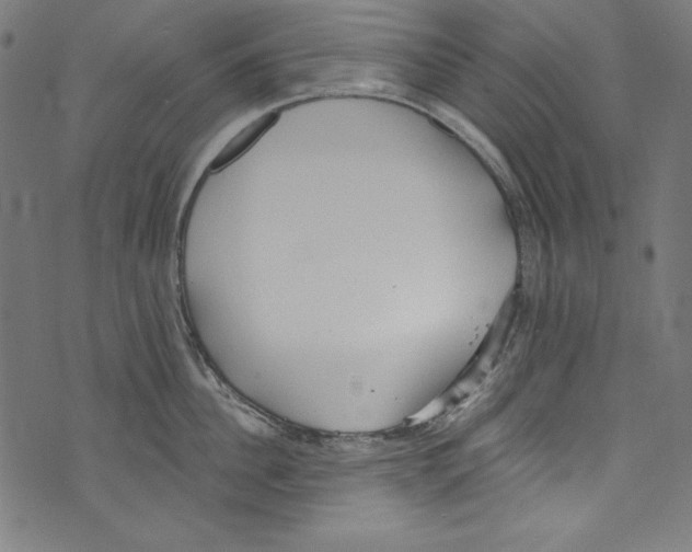 X0000072970956200608211318