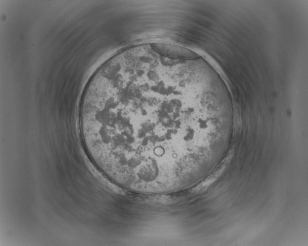 X0000072970957200608211318