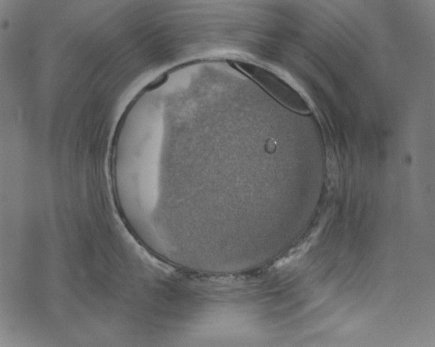 X0000072970959200608211318