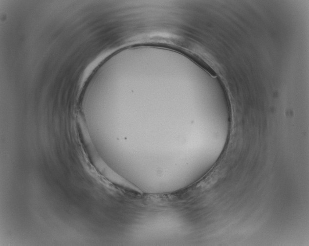 X0000072970960200608211318